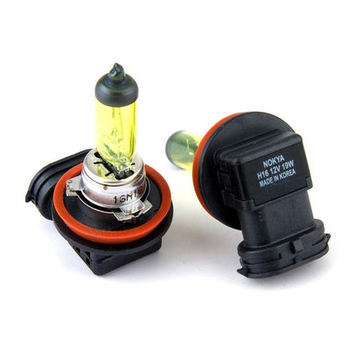 H16 Halogen Bulb