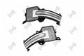 Driver Side Signal Lamp