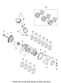 OEM Pilot Bearing