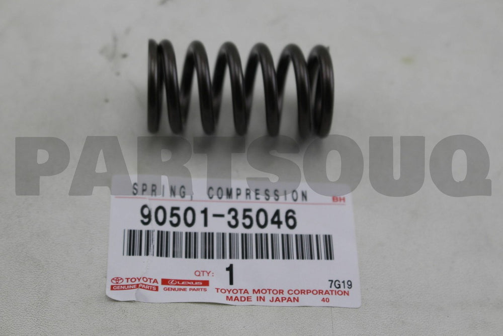 Valve Spring