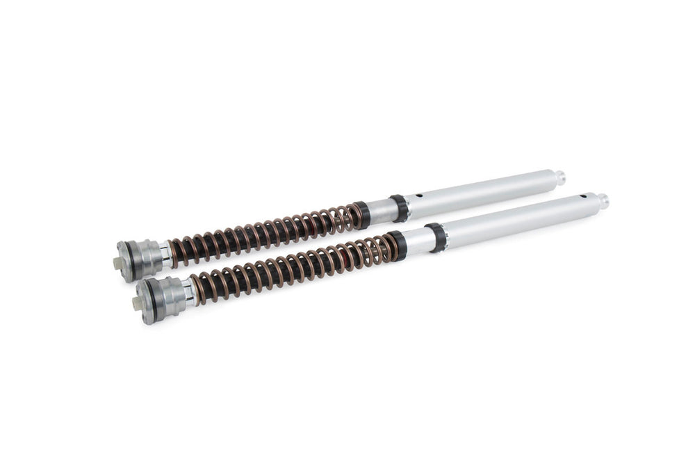 FGK 239 NIX 30 Front Fork Cartridge Kit