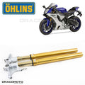 FGRT 219 Road & Track Front Fork Set
