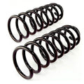 Heavy-Load Front Coil Springs