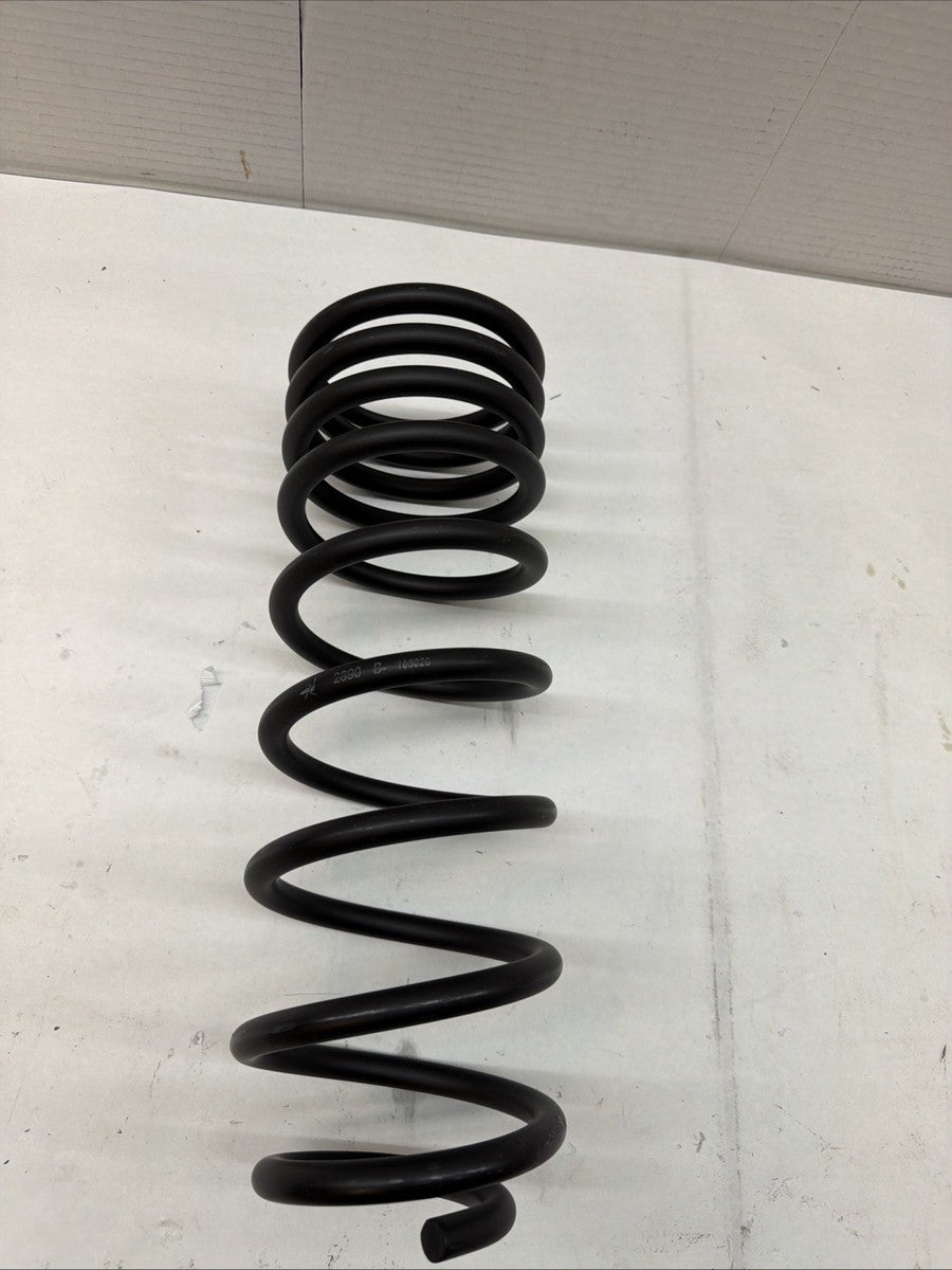 Rear Coil Springs