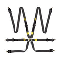First 2 6-Point Safety Harness