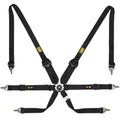 First 2 6-Point Safety Harness