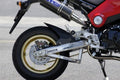 OV-Type Swingarm, 5cm Longer, Polished