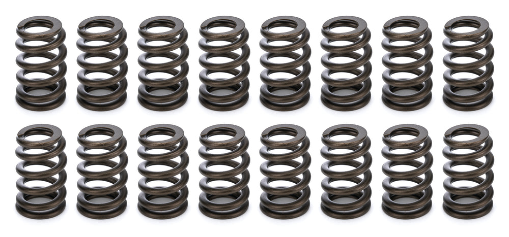 1200 Series Valve Spring Kit