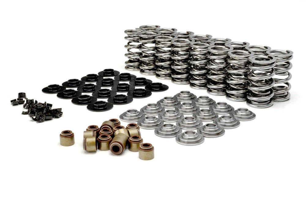 Dual Valve Spring Kit