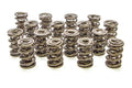 1200 Series Triple Valve Spring