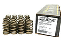 Beehive Valve Spring Set