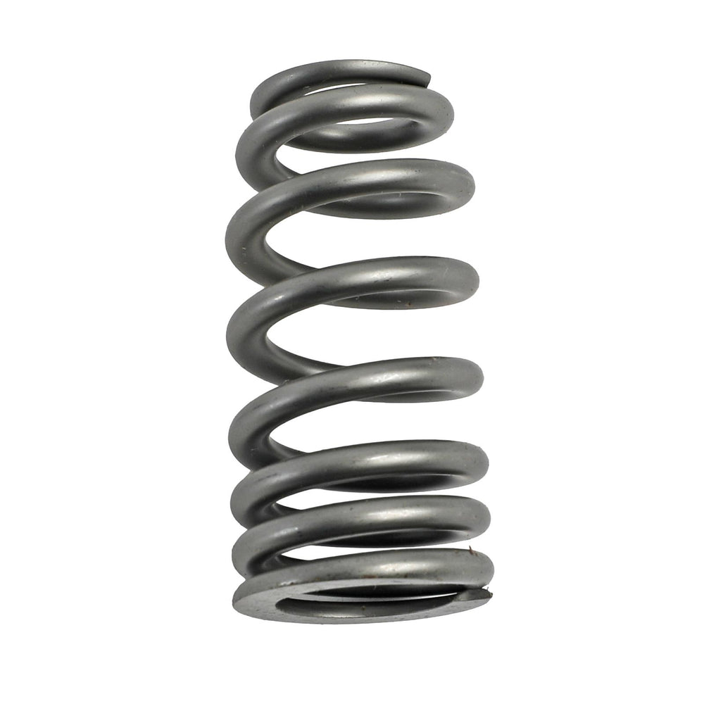 RPM Series Beehive Valve Spring Set