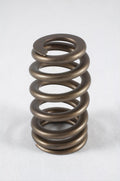 1.307 Valve Springs - Ovate Beehive (16)