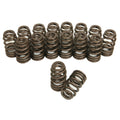Beehive Valve Springs