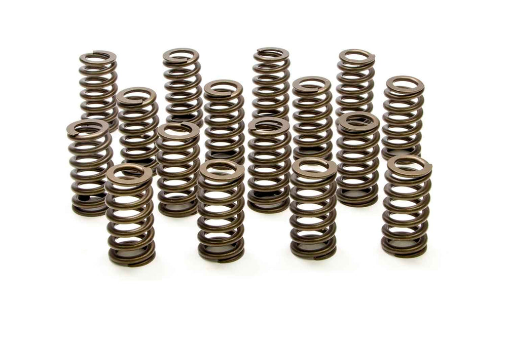 1200 Series Valve Spring Set