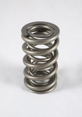 RPM Series Dual Valve Spring Kit