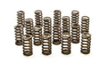 1200-Series Ovate Beehive Valve Spring Set