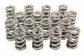 RPM Series Dual Valve Springs, 1.274" OD