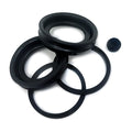 Pad Guided 2-Piston Caliper Rebuild Kit