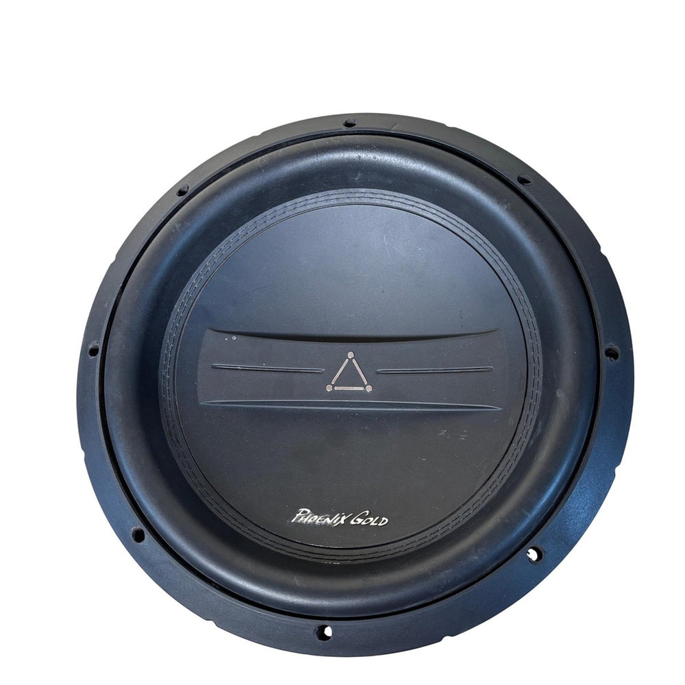 12-Inch Dual 2-Ohm Subwoofer