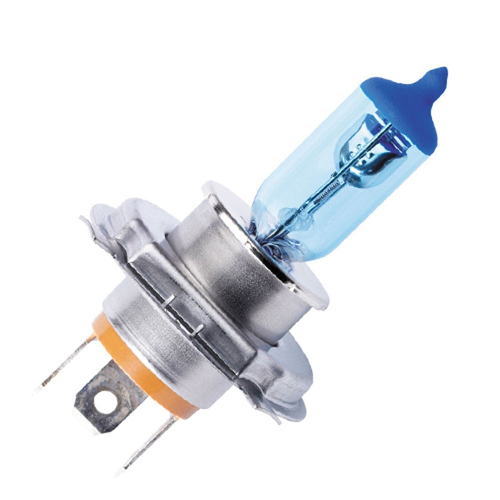 H4 XTreme White Plus Halogen Bulb