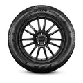 Performance All-Season Tire