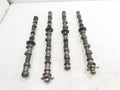 Left Intake and Exhaust Camshaft Set