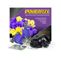 Rear Trailing Arm Bushing Set