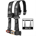 4-Point Harness