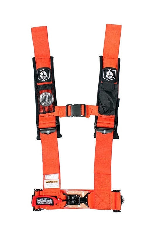 4-Point Harness