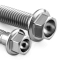 Titanium Engine Case Bolt Kit