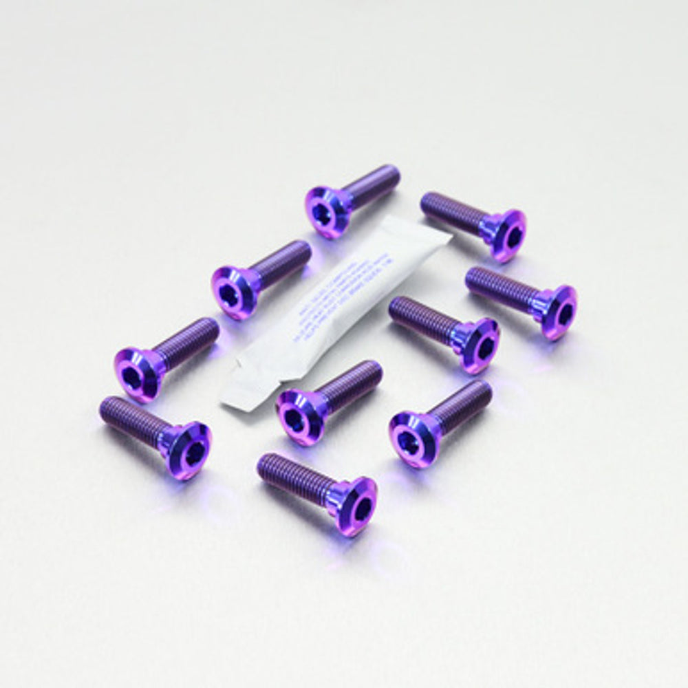 Titanium Brake Disc Screw Kit