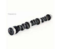 2.8L-3.4L 60-Degree V6 Stock Replacement Camshaft