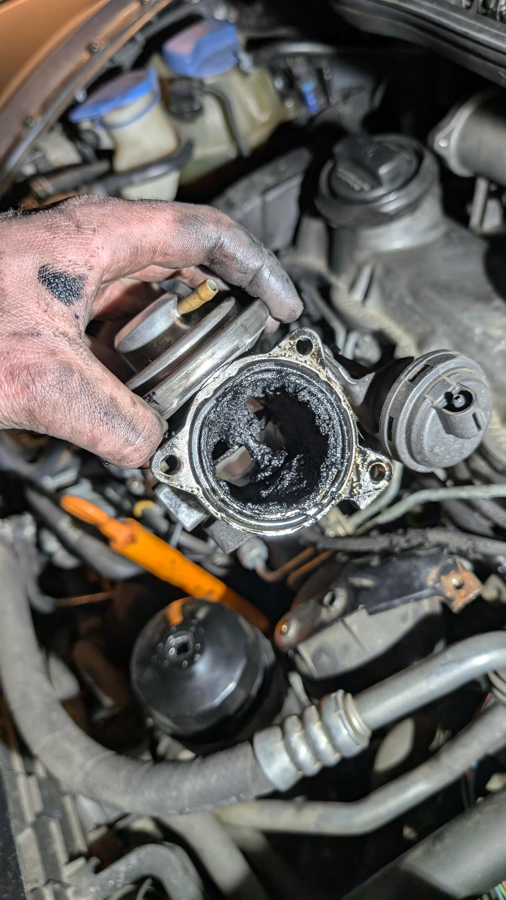 1.9L EGR Delete Kit