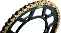 ProTaper Chain 420MX 134L
