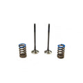 Steel Exhaust Valves and Springs Set