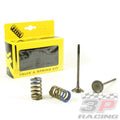 Steel Exhaust Valves and Springs Set