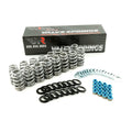 Beehive Valve Spring Set .650" Lift