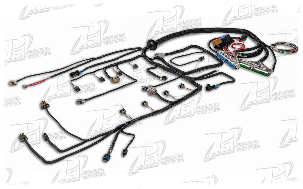 Standalone EFI Wiring Harness