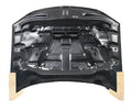 HC Style Carbon Fiber Hood