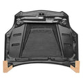 Carbon Fiber Hood