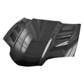 AMS-Style Carbon Fiber Hood