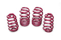 Lowering Springs Set
