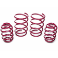 Sport Lowering Spring Kit