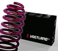 Sport Lowering Spring Set