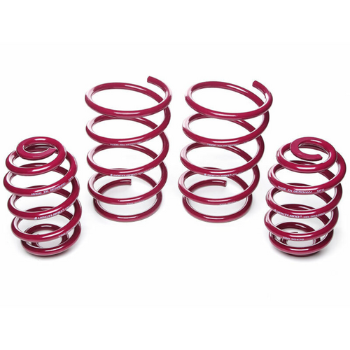Sport Lowering Spring Kit