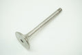 Engine Exhaust Valve