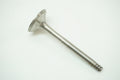 Engine Exhaust Valve
