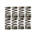 Valve Spring