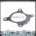 Catalytic Converter Gasket